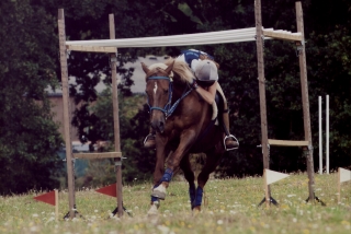 Bridget competing in TREC